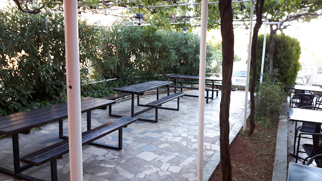 Stari Ribar - Gastronomija i ugostiteljstvo