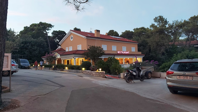 Comentarii opinii despre Restaurant Artatore “Janja”