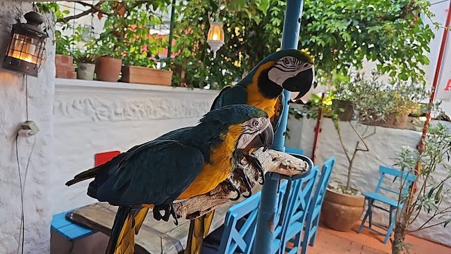 Ul. Kamila Pamukovića 9, 22211, Vodice