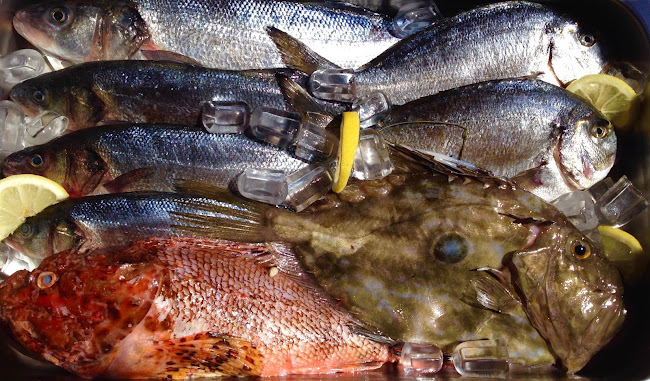 Buffet Lošinjsko jidro