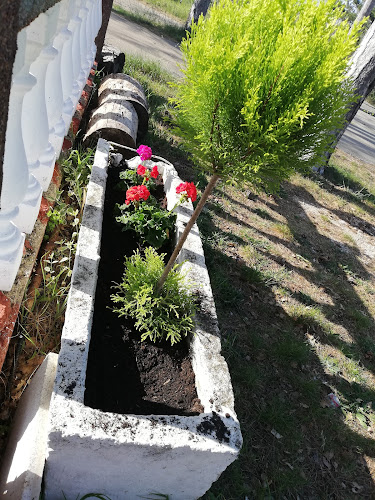 Caffe Bar Texas - Buje