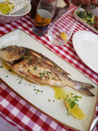 Restaurant Jadera Zadar - Zadar