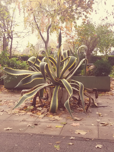 Comentarii opinii despre Caffe bar Regata