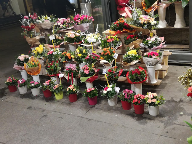 Caffe bar "Oaza" - Zagreb