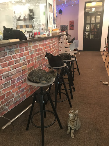 Ul. Dragojla Kušlana 6, 10000, Zagreb