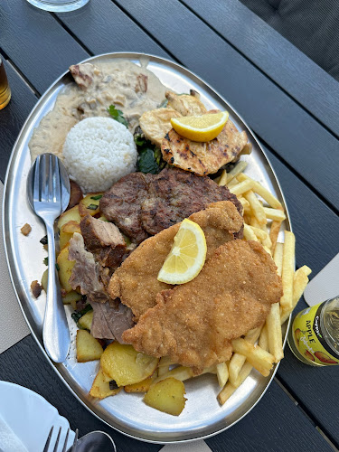 Comentarii opinii despre nn