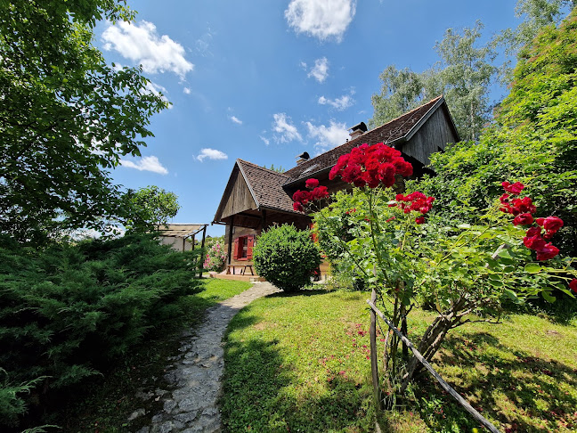 Comentarii opinii despre Restoran, vinarija i pansion Vuglec Breg