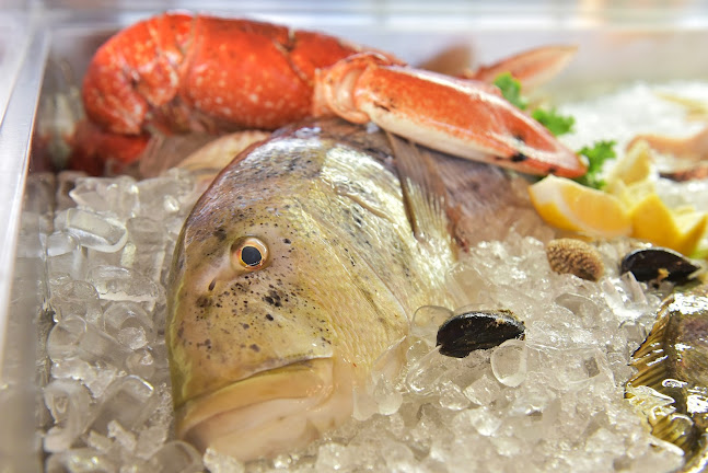 marina Kornati, Šetalište kneza Branimira 1, 23210, Biograd na Moru