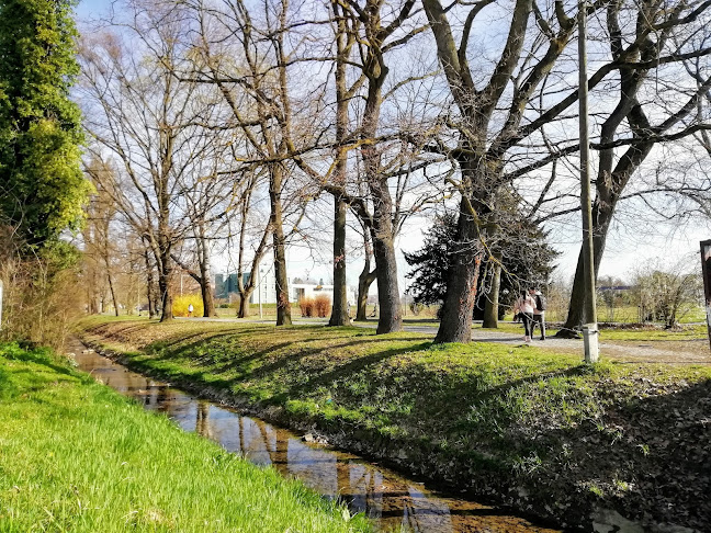 Opinii despre Mala Oaza în Zagreb - Gastronomija i ugostiteljstvo