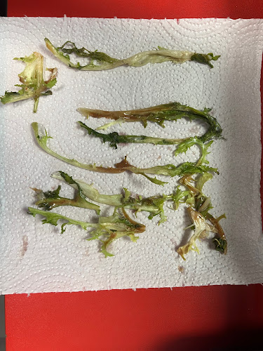 Kebab Club - Gastronomija i ugostiteljstvo