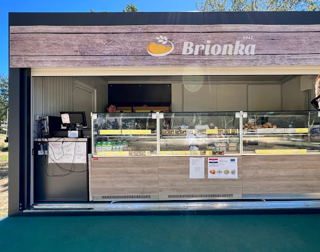 Comentarii opinii despre Brionka 2