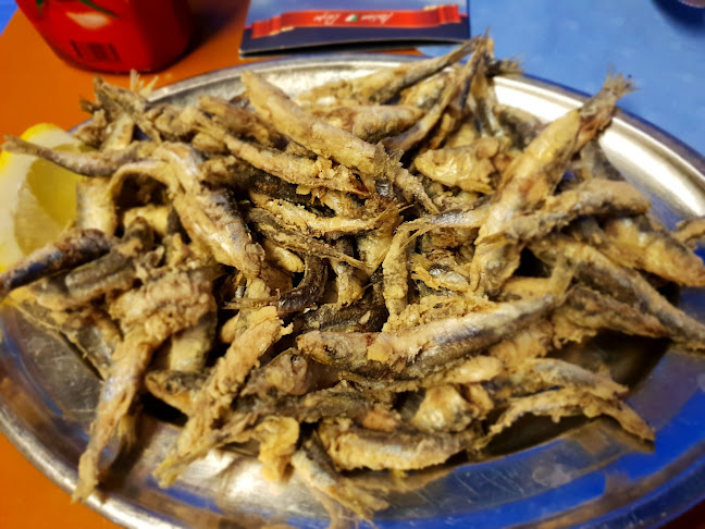 Restaurant Delfin - Gastronomija i ugostiteljstvo