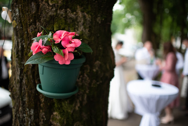 Caffe Bar As - Gastronomija i ugostiteljstvo