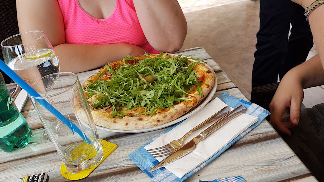 Shark restaurant and bar - Gastronomija i ugostiteljstvo