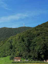 IVANČICA UGOSTITELJSKI OBRT, IVICA HANŽEK