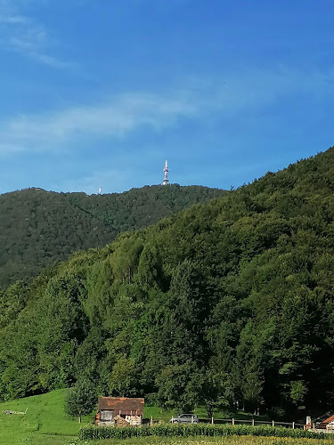 IVANČICA UGOSTITELJSKI OBRT, IVICA HANŽEK