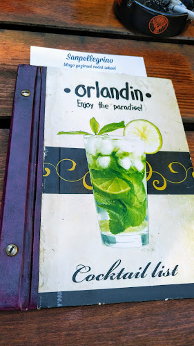 Comentarii opinii despre Orlandin