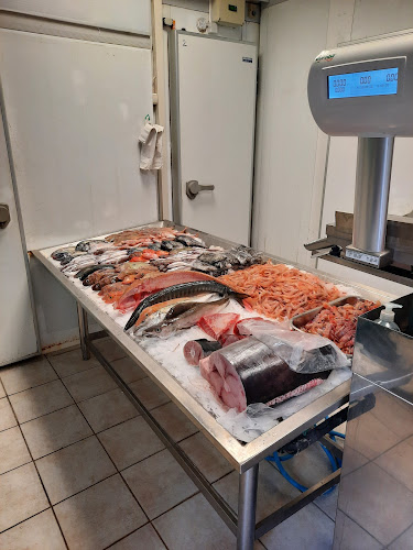 Ul. kralja Zvonimira 1, 21480, Vis