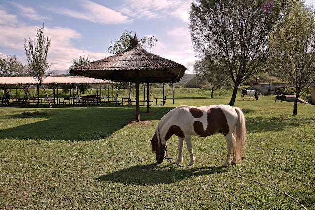 Restoran Premijer Gaz - Gastronomija i ugostiteljstvo