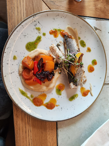 Maslina na Zelenom trgu