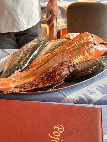 Comentarii opinii despre Restoran Pojoda