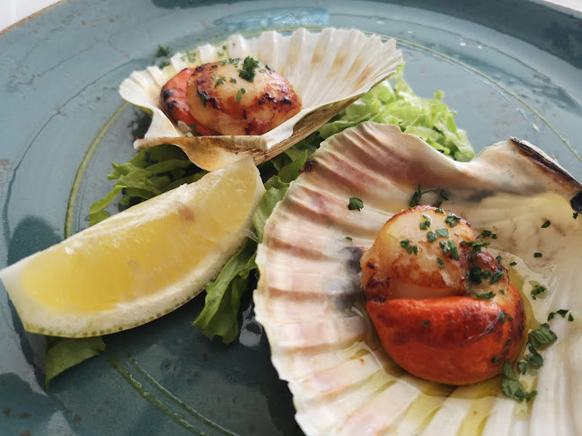 Opinii despre Plavi podrum în Opatija - Gastronomija i ugostiteljstvo