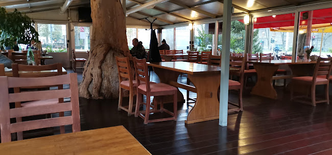 Comentarii opinii despre Buffet Antin Gaj