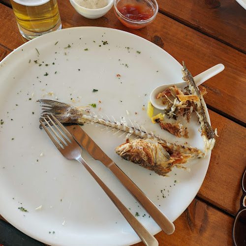 Comentarii opinii despre Mario Guest House