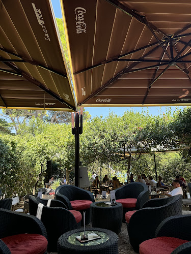 Comentarii opinii despre Lacroma Restaurant