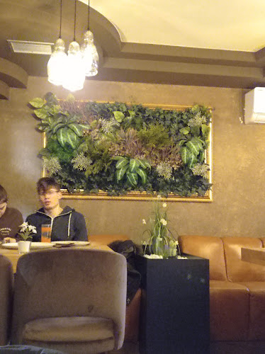 Comentarii opinii despre CASTELLO Caffe Bar Pizzeria Grill