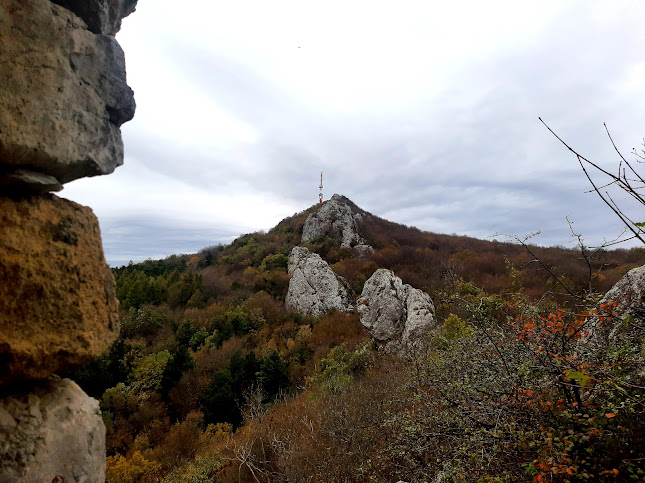 Planinarski dom Kalnik - Gastronomija i ugostiteljstvo