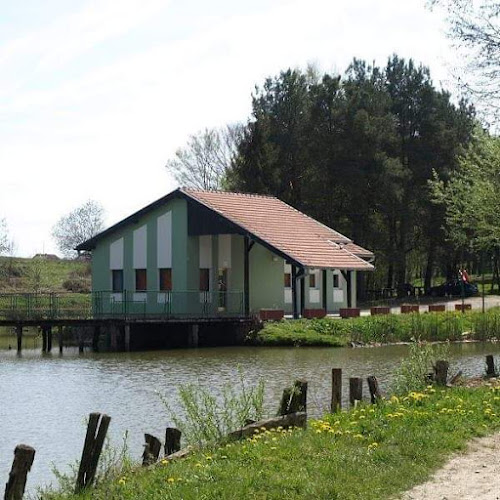 Kavana Bara - Grubišno Polje