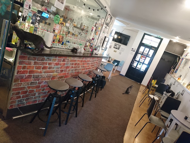 Ul. Dragojla Kušlana 6, 10000, Zagreb