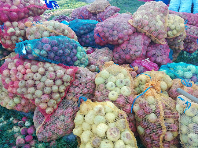 Brežani 16, 47212, Brežani