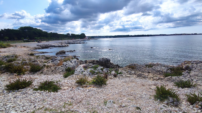 Fast food Tina - Gastronomija i ugostiteljstvo