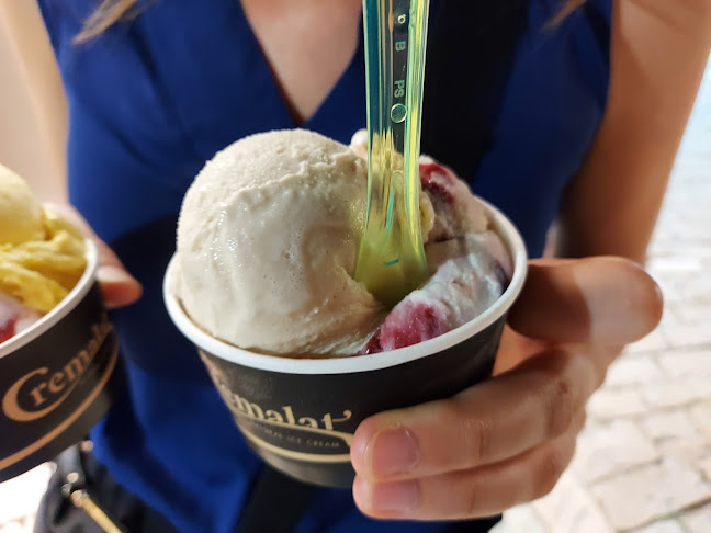 Comentarii opinii despre Cremalat