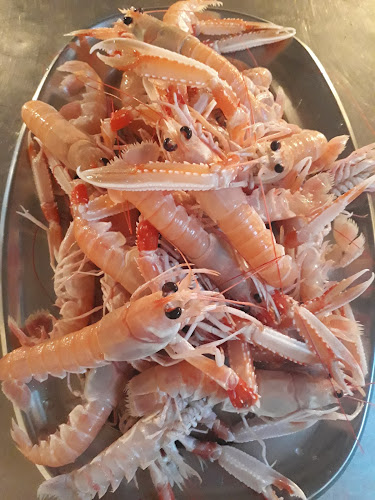 Opinii despre GARDELIN Restoran Luka în Vrboska - Gastronomija i ugostiteljstvo