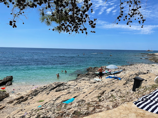 Opinii despre Restoran Momi în Veli Rat - Gastronomija i ugostiteljstvo