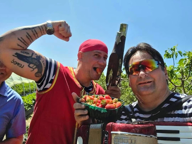 Momići 24/1, 20341, Kula Norinska