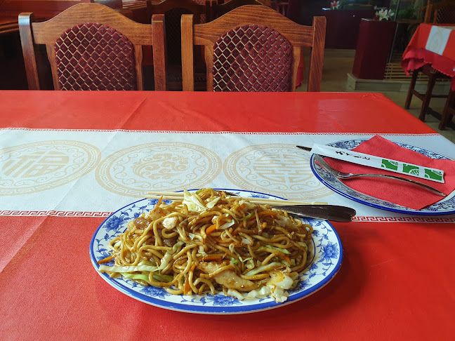 Comentarii opinii despre Bambus Garden