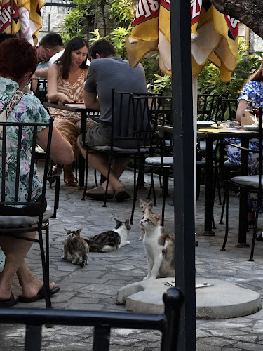 Obala kralja Tomislava 1, 21214, Kaštel Kambelovac