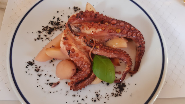 Comentarii opinii despre Bronzin