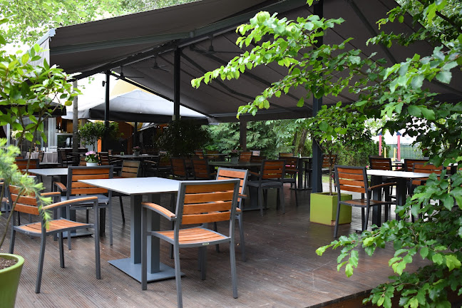 Restaurant Balon - Gastronomija i ugostiteljstvo