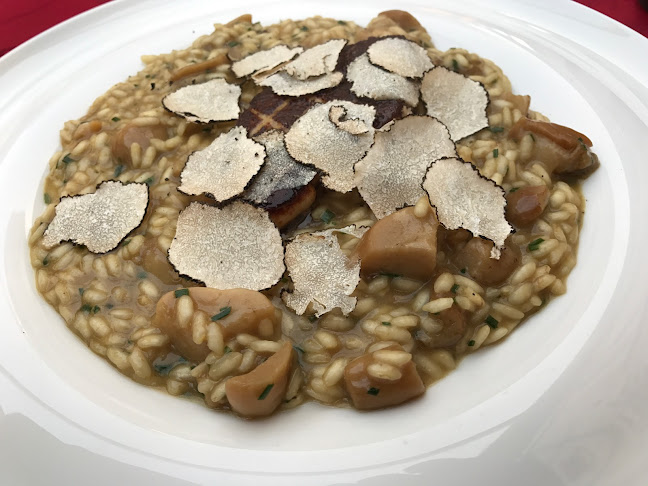 Comentarii opinii despre Restaurant Dubrovnik