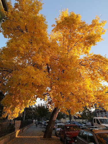 Caffe bar Lipa - Slavonski Brod