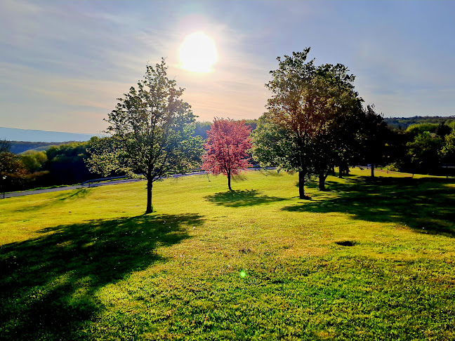 Obala Vladimira Nazora, 22211, Vodice