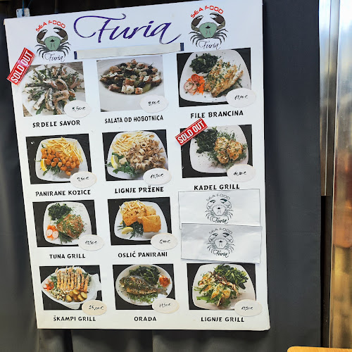 Comentarii opinii despre Restoran Furia