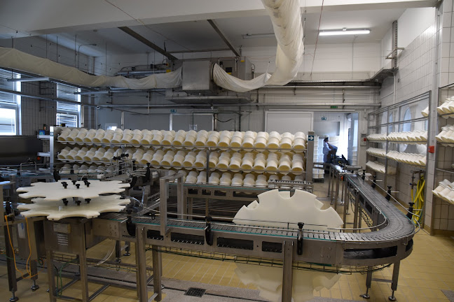 Comentarii opinii despre GLIGORA CHEESE BAR