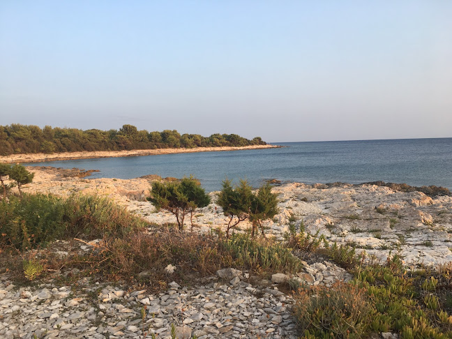 Restoran Momi - Gastronomija i ugostiteljstvo