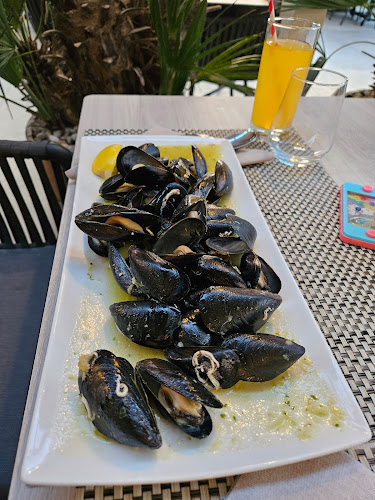 Comentarii opinii despre Restoran - Pizzeria Spadici